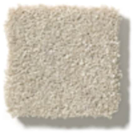 Shaw Jackson Heights Tortilla Texture Carpet with Pet Perfect Plus-Sample